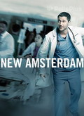 New Amsterdam Temporada 1 [720p]